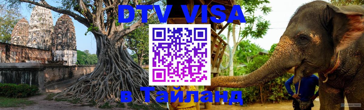 Оформление DTV визы под ключ: стоимость и тарифы, только загранпаспорт - 